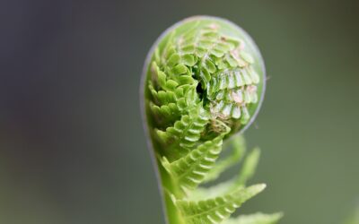 Belevingsgerichte aandacht