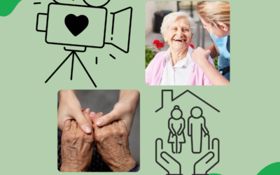 Theoriediploma VIO behaald